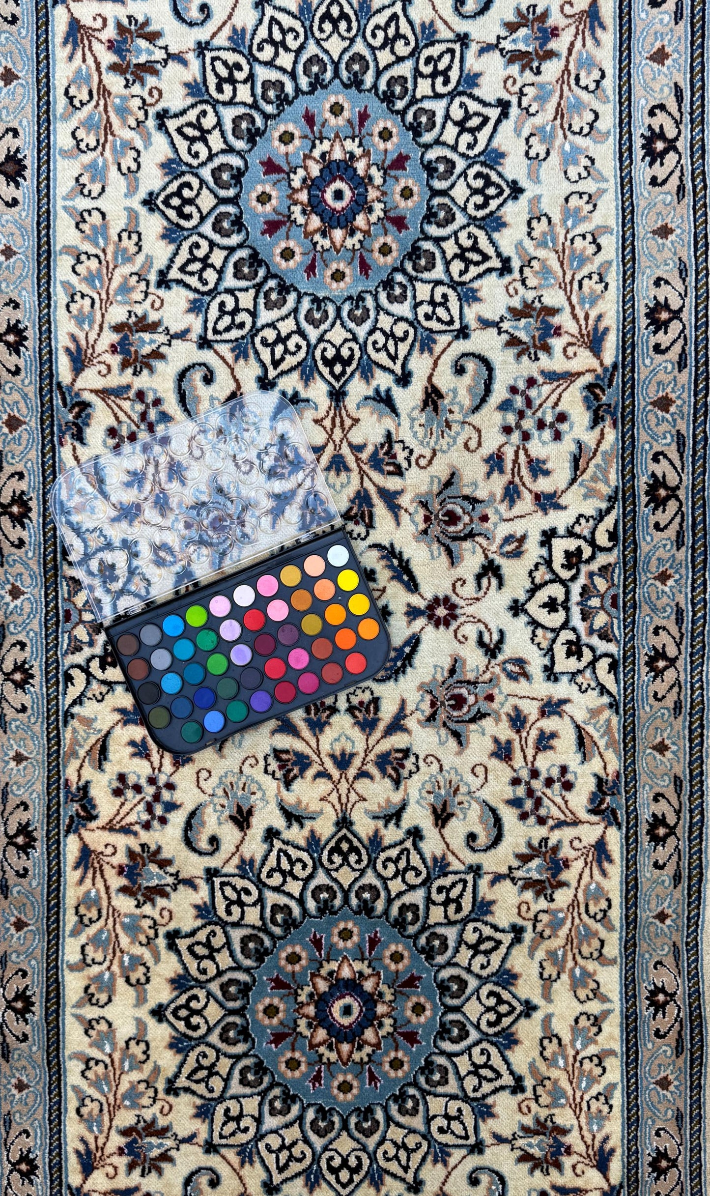 9.5x2.8 ft Vintage 1970s Pastel Nain Hand Knotted Rug: Wool & Silk Touch Runner Carpet