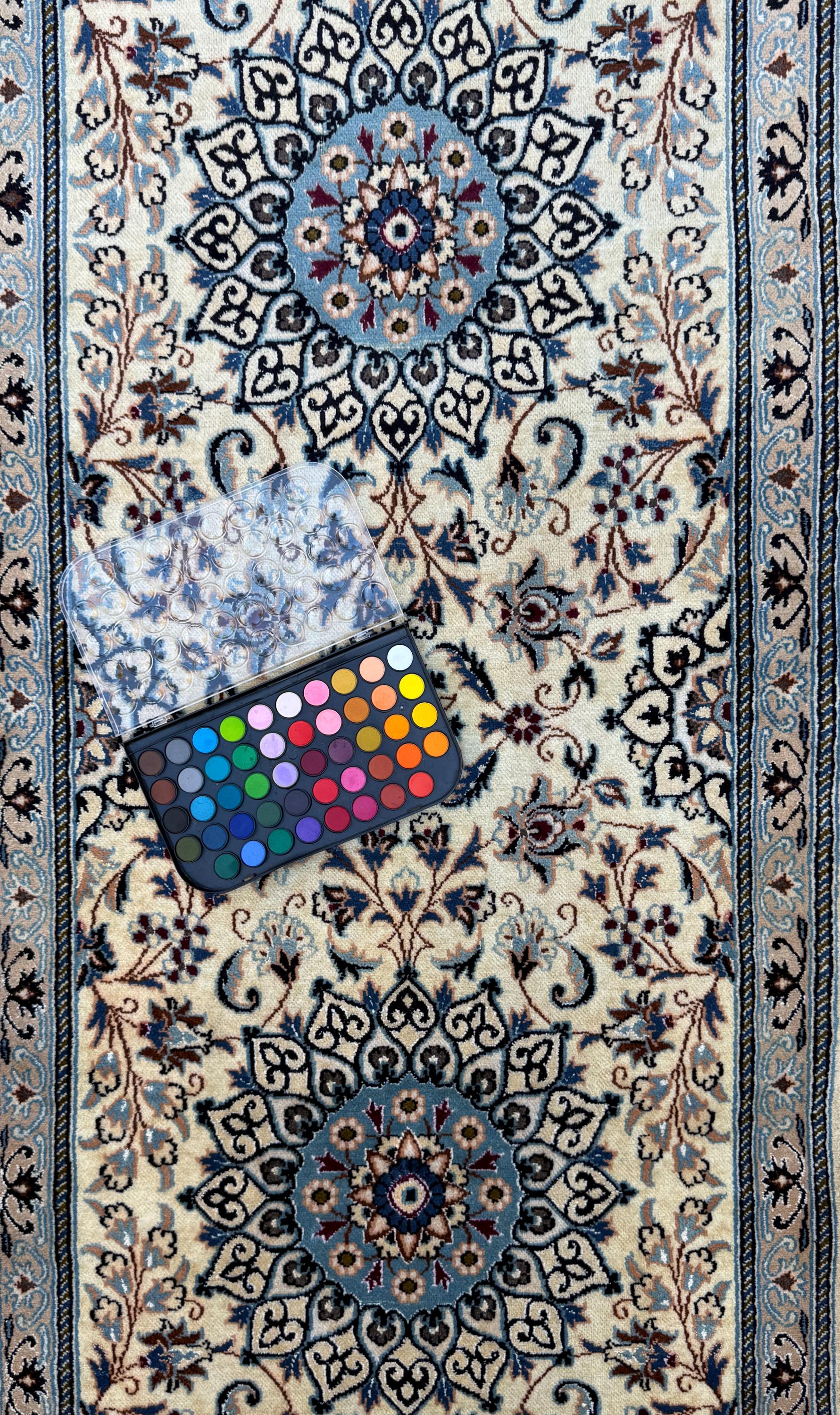 9.5x2.8 ft Vintage 1970s Pastel Nain Hand Knotted Rug: Wool & Silk Touch Runner Carpet